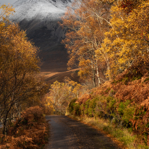  DSC4812 Beinn Eighe  4812